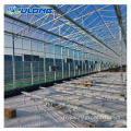 Greenhouse agricole pour la plantation de tomates / concombres